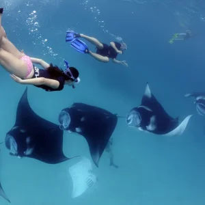 Nusa Penida Snorkeling Adventure