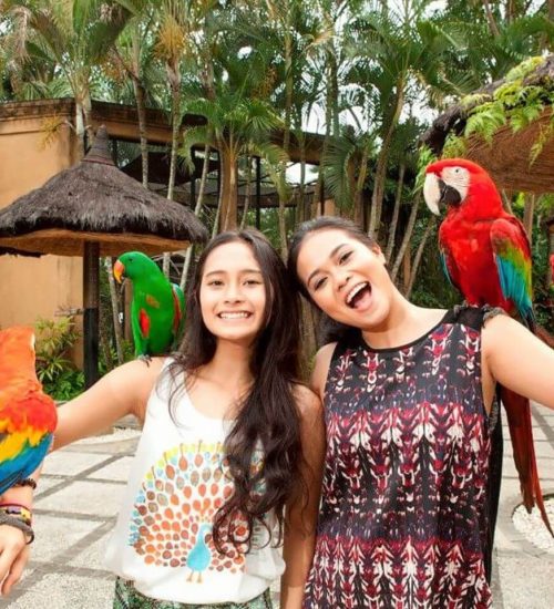 Bali Bird Park & Monkey Forest Tour 1