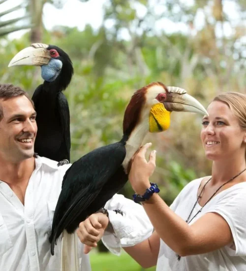 Bali Bird Park & Monkey Forest Tour 10