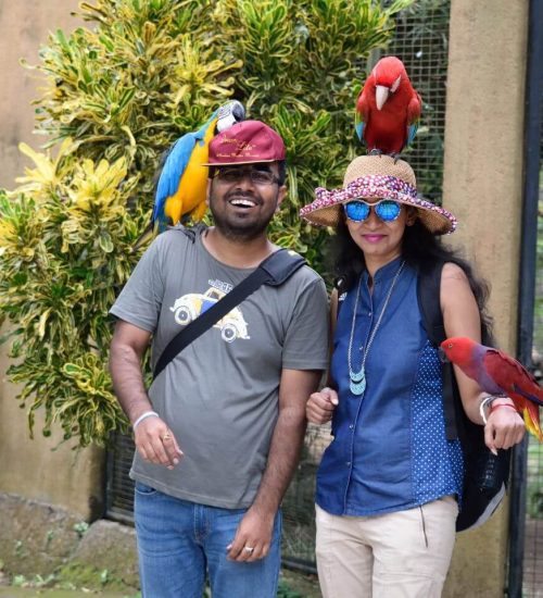 Bali Bird Park & Monkey Forest Tour 12