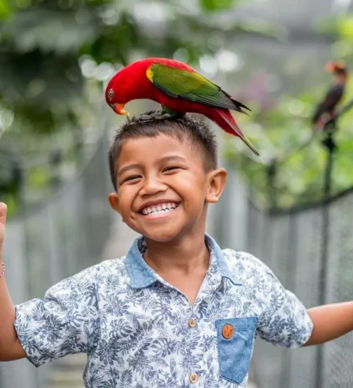 Bali Bird Park & Monkey Forest Tour 3