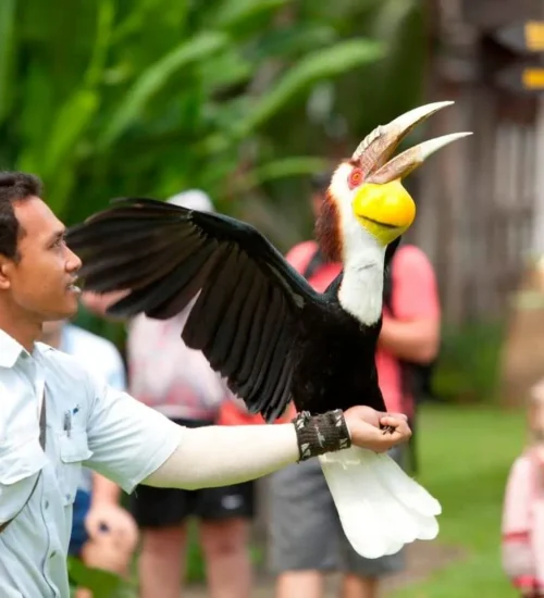 Bali Bird Park & Monkey Forest Tour 5
