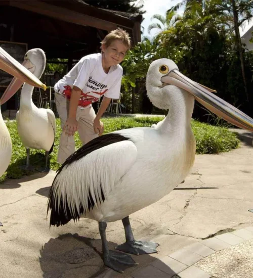 Bali Bird Park & Monkey Forest Tour 8