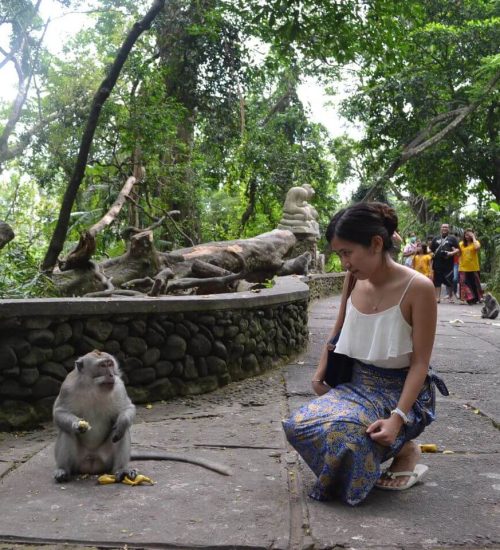 Bali Bird Park & Monkey Forest Tour 9