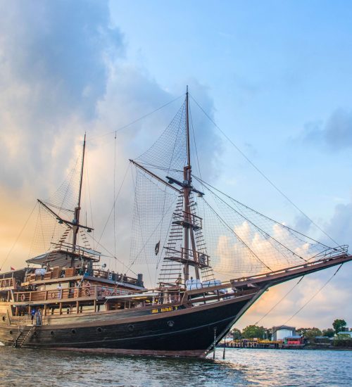 Bali Dinner Cruise & Uluwatu Temple Experience 9