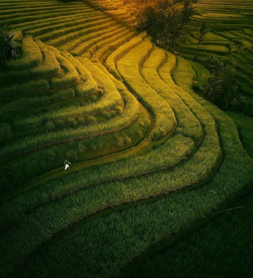 Bali Unesco World Heritage Sites Tour 9