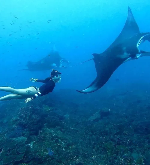 Nusa Penida Snorkeling Adventure 10