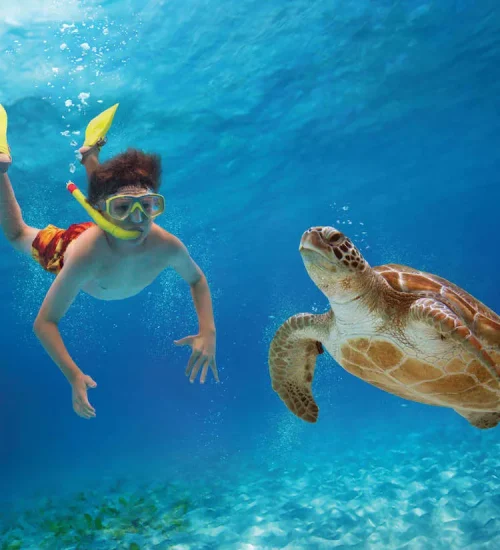 Nusa Penida Snorkeling Adventure 11