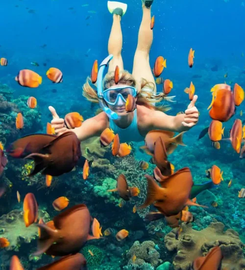 Nusa Penida Snorkeling Adventure 4