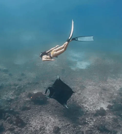 Nusa Penida Snorkeling Adventure 5
