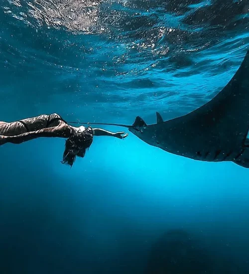 Nusa Penida Snorkeling Adventure 8