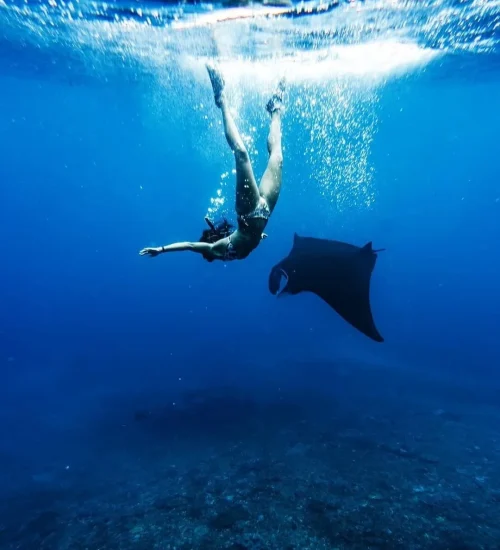 Nusa Penida Snorkeling Adventure 9